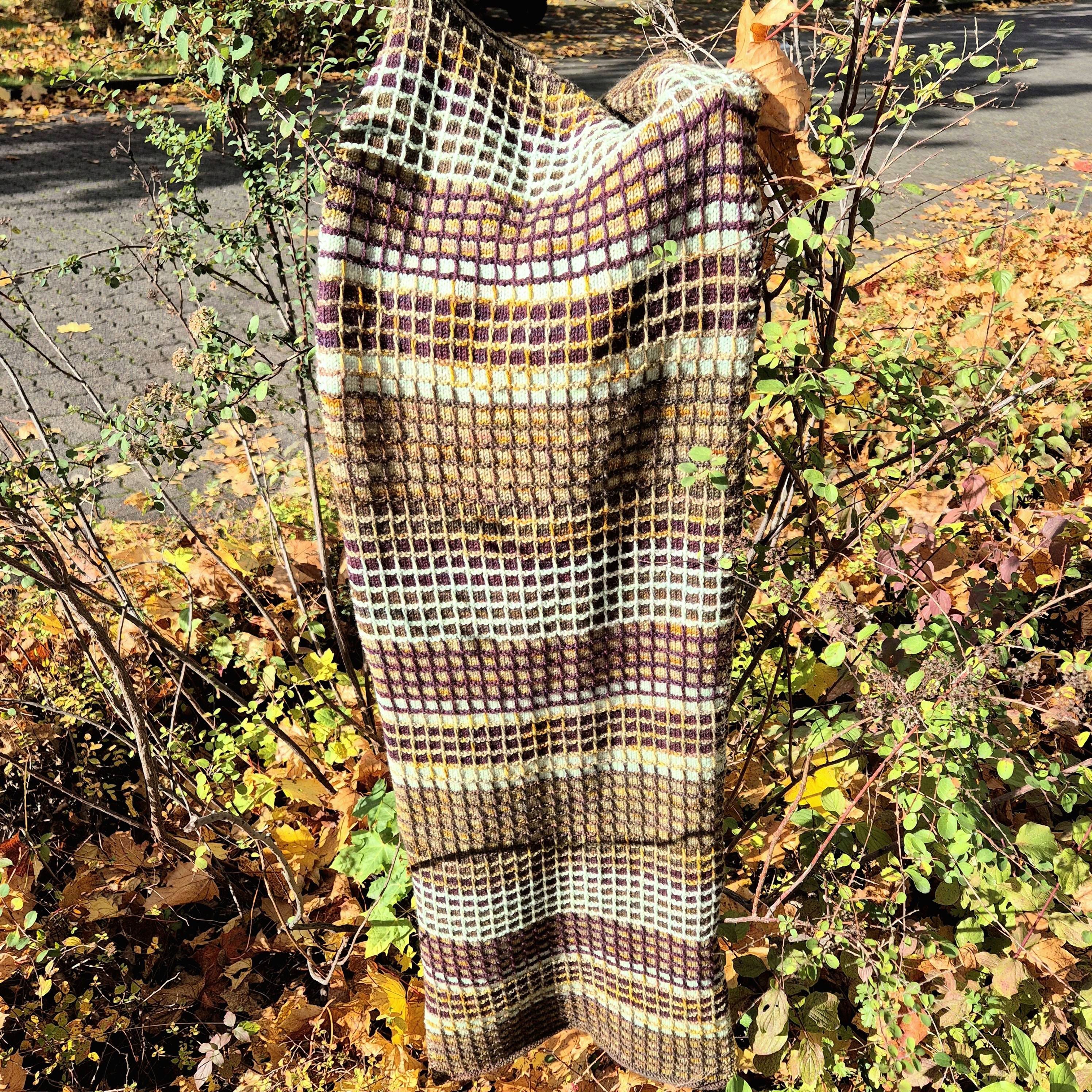 LA24 02 El Mirador w