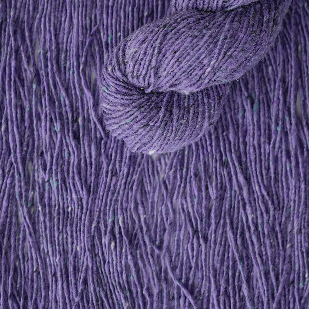 NEU: Fb. 30 Clematis